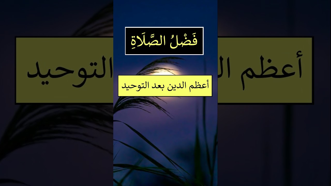 أعظم الدين بعد التوحيد - الشيخ عبد الرزاق البدر