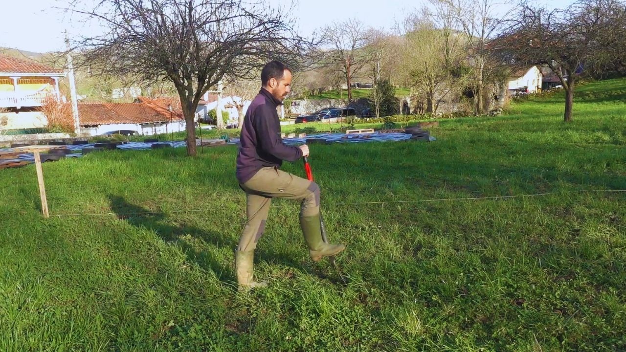 De huerta familiar a huerta comercial | Primeros pasos