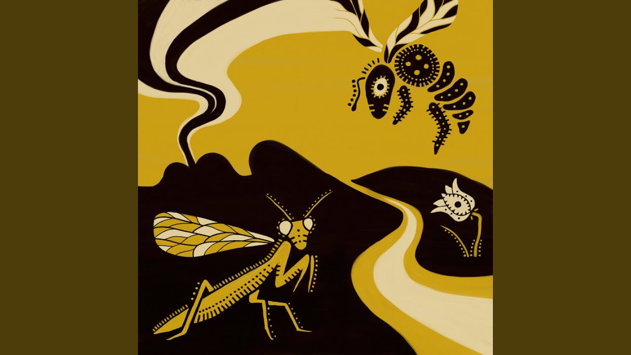Watch Desert Flower on YouTube Watch Desert Flower on YouTube