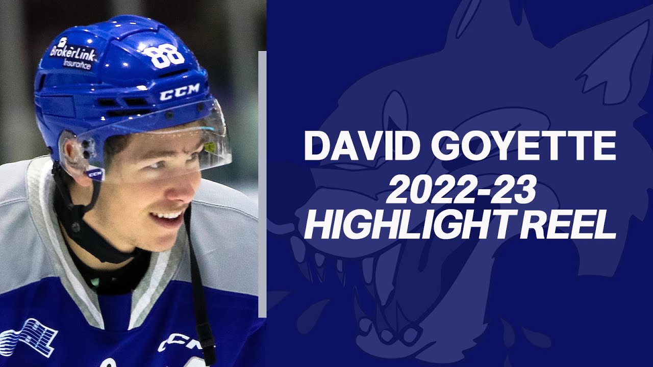 David Goyette (Sudbury Wolves): 2022-23 OHL Highlights