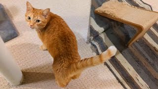 She Didnt Expect This Surprise From Dad, But He Knew She Would Love It This Much