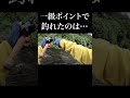 一級ポイントで釣れたのは…