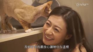 《十五分鐘熱度 Plus》20191213 第165集 娛樂新聞 - 李嘉欣 蔡依林 / 藝人專訪 - 江若琳