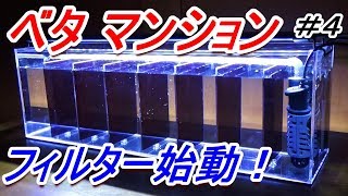 自作アクリル水槽！　最大７匹 ベタマンション！