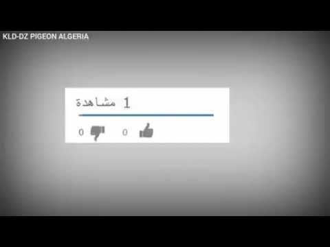 مصارعه ديوجه