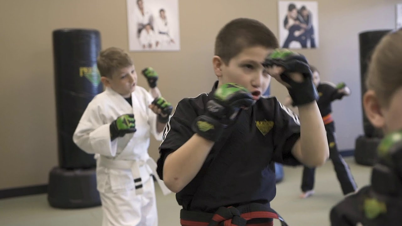 to Premier Martial Arts YouTube