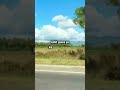 Keep Moving Forward l Tagalog #shorts #shortsvideo #genzaid