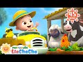 A Roda do Ônibus com Animais da Fazenda 🚍 | Música Infantil Divertida | LiaChaCha