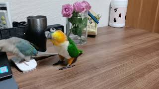 VID_20220809_213433(1)