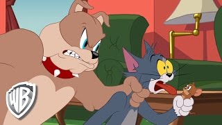 Мульт Tom Jerry Foolish Tom