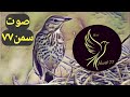 صوت سمن ٧٧ 2025 