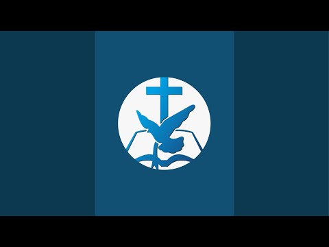 Previzualizare video