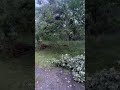 Possible Tornado Damage- Colver, PA following enhanced risk on 8/12 #stormchaser #storms