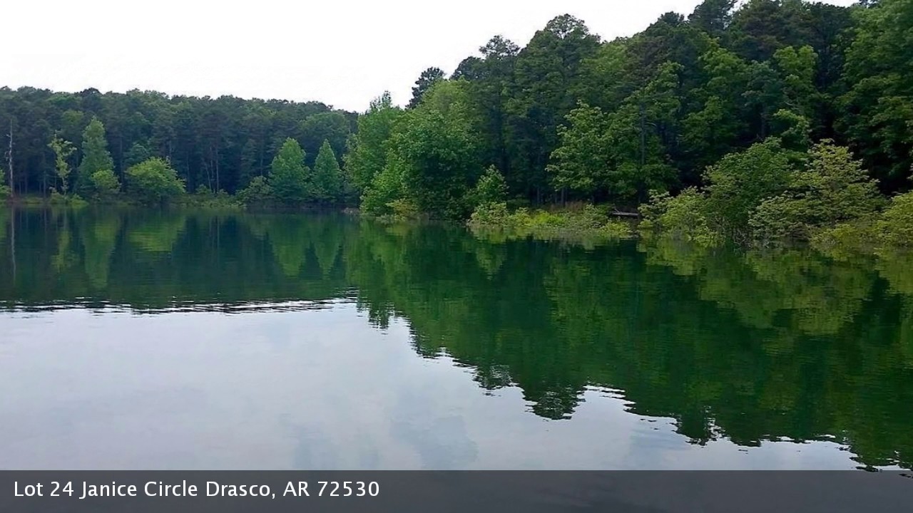 Real estate for sale in Drasco Arkansas MLS 17018647 YouTube