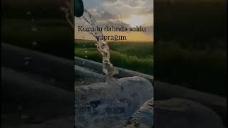 Kurudu Dalında Soldu Yaprağım 🍂 Yürek Yakan Türkü