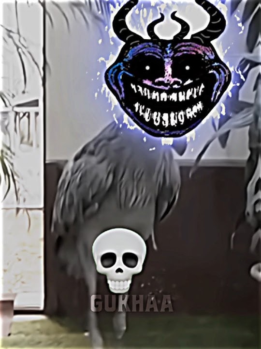 Suara Burung Paling Menakutkan 💀☠️ #trollface #edit #trending #foryou