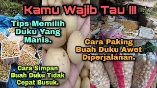 Download Lagu Cara Packing Buah Duku Agar Tidak Mudah Menghitam‼️Cara Memilih Buah Duku Yang manis ⁉️ MP3 Download Lagu Cara Packing Buah Duku Agar Tidak Mudah Menghitam‼️Cara Memilih Buah Duku Yang manis ⁉️ MP3