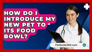 How Do I Introduce My New Pet To Its Food Bowl? - PetGuide360.com