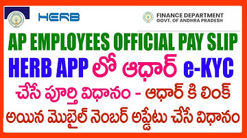 How to link Emloyee Aadhar with CFMS ID -HOW TO AADHAR E KYC IN HERB APP -UPDATE AADHAR LINKED MOBLE