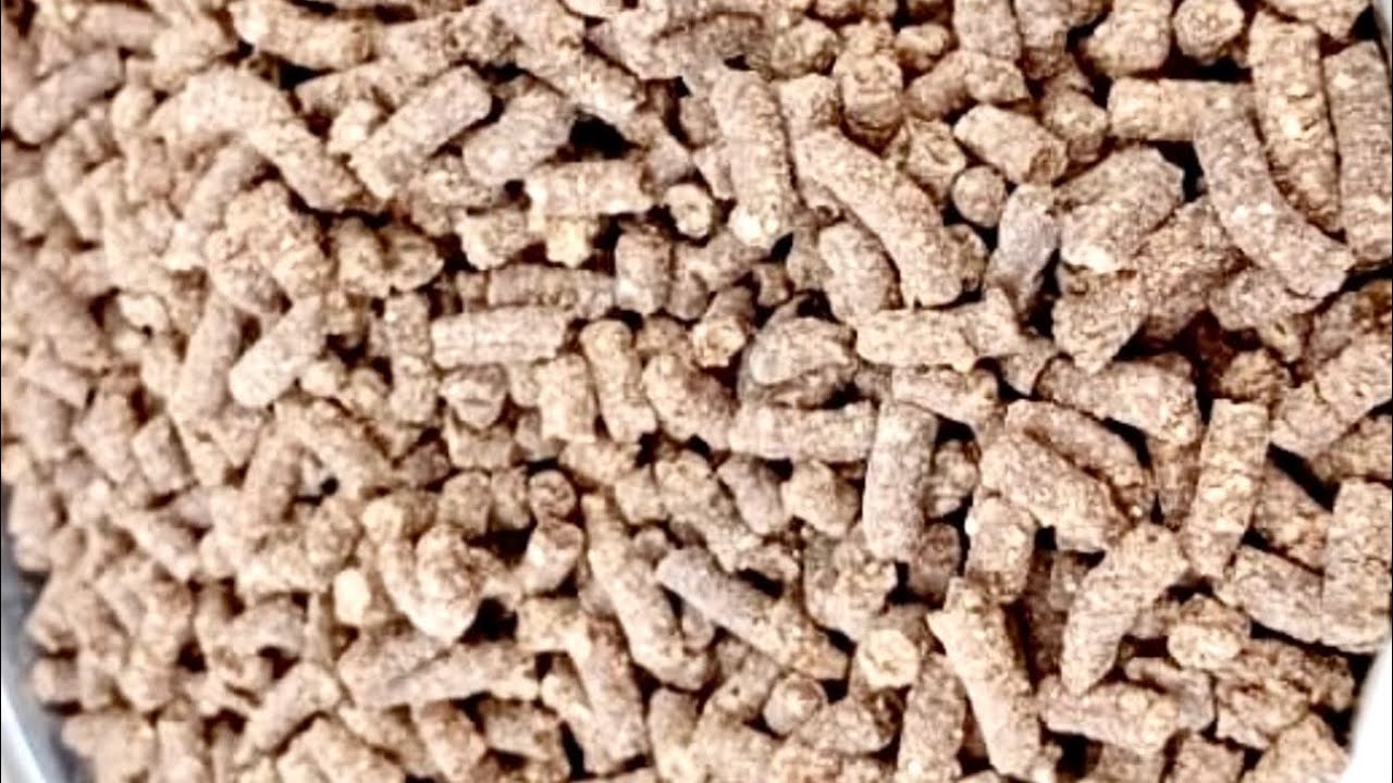 Изготовление гранул корма для сома