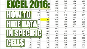 Excel 2016 - How to hide data in specific cells | Moka Tutorials