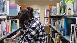 Dewey Decimal Series- Dinosaurs