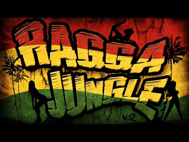 RAGGA JUNGLE - Drum n Bass Mix (v.2) class=