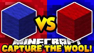 Introduction to Capture the Wool