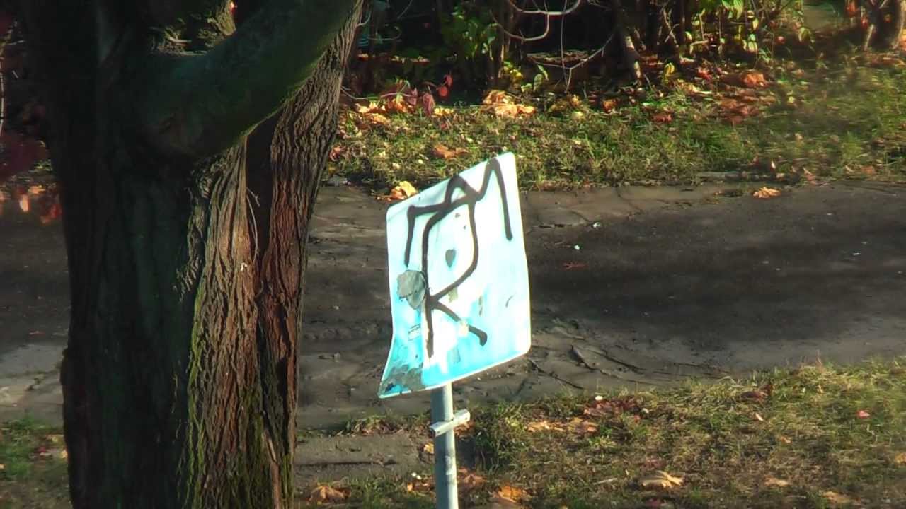 Panasonic HDC-SD100 / Raynox DCR-730 / JVC GL-AT37 - Test shots