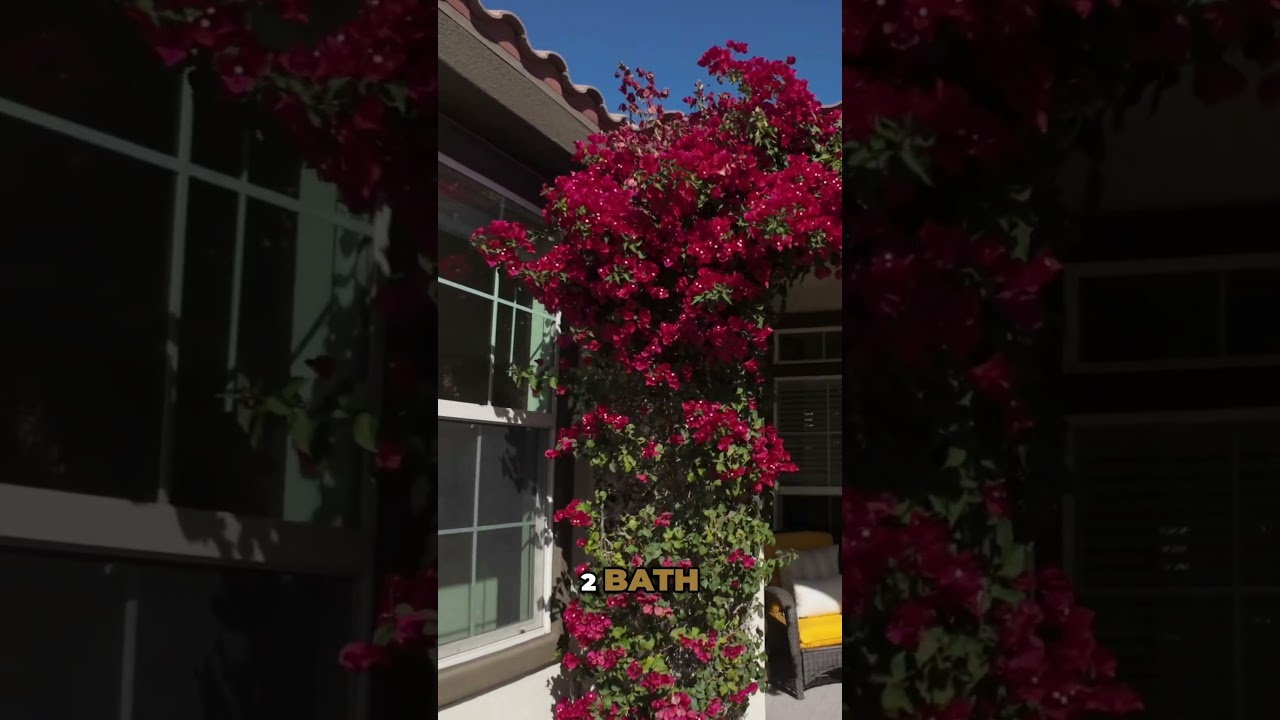 Upgraded Oasis Model in Trilogy La Quinta | New AC, Flooring & More 