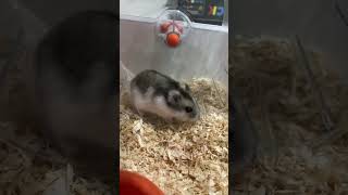 Preparing For The Summer