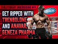 Evolutionaryorg underground 14 get ripped with trenbolone and anavar geneza pharma