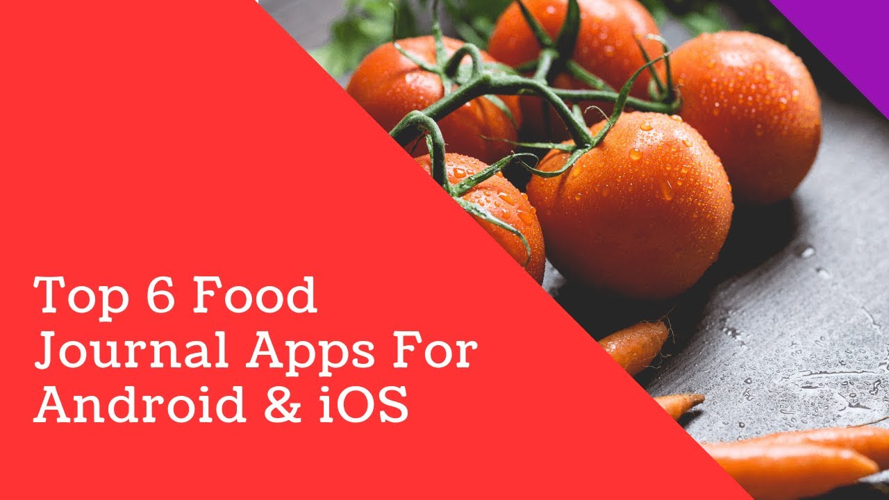 Top 6+ Food Journal Apps For Android & iOS To Stay Healthy and Lose