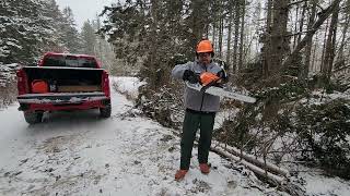 STIHL MS 400 C  New Chainaw PT2