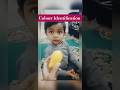 🎨 Colour Identification by Arsalan 🌈 | Toddler Learning|1.6 Years Old Toddler