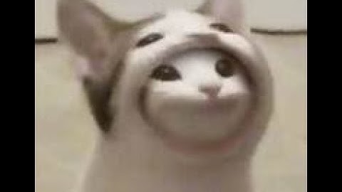 how to hack in pop cat clicker! its ez