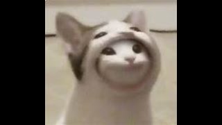 how to hack in pop cat clicker! its ez screenshot 5