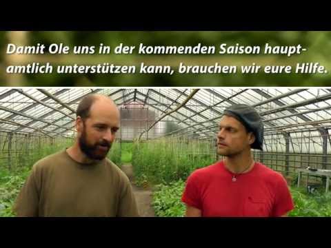 tomatenretter-|-krautfunding-für-saatgutsouveränität-und-gärtner-ole