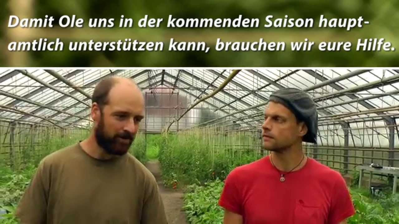 Tomatenretter Krautfunding für Saatgutsouveränität und Gärtner Ole