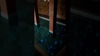 Swimming Pool Light With Fiber Optics Light