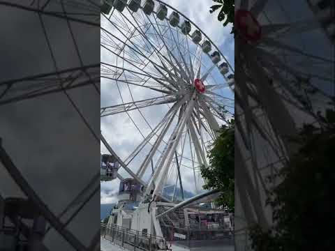 امي فكرت جبلك ورد بالأول اجمل اغنية لعيد الام