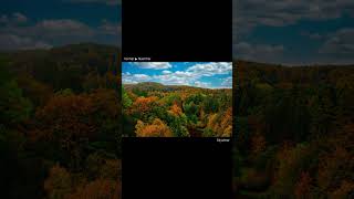 🍂 Herbstfarben in Sekunden: Mit meiner Autumn Collection für Luminar  #luminar #fotobearbeitung