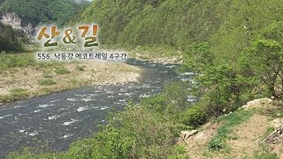 [산&길 556회] 낙동강 에코트레일 4구간
