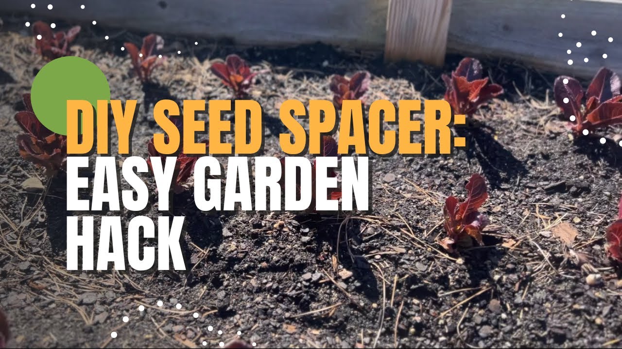Make Your Seed Spacing Easier With This Tool - Wellness Gardens
