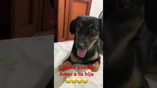 Cuanto Se Puede Amar A Tu Hija Perra