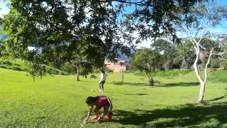 Cogiendo guayabas con los niños en la manga de la virgen, Girardota, Antioquia, Colombia