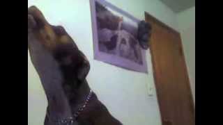 Capture 20140114