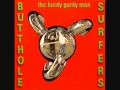 The Hurdy Gurdy Man (Jim Melly re-mix) - Butthole Surfers