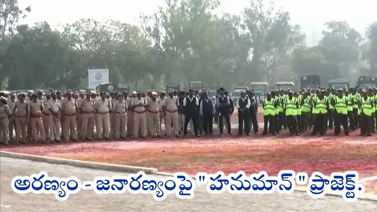 అరణ్యం - జనారణ్యంపై 