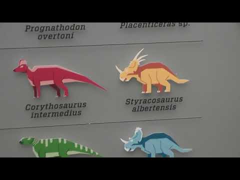 Hadrosaur Skulls and
